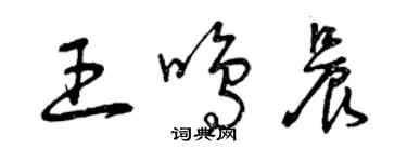 曾慶福王鳴晨草書個性簽名怎么寫