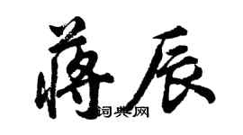 胡問遂蔣辰行書個性簽名怎么寫