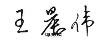 駱恆光王晨偉草書個性簽名怎么寫