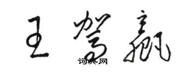 駱恆光王駕贏草書個性簽名怎么寫