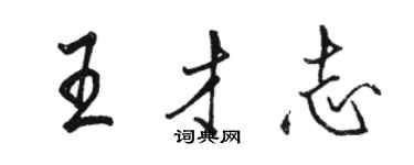 駱恆光王才志行書個性簽名怎么寫