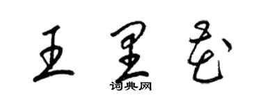 梁錦英王里花草書個性簽名怎么寫