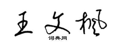 梁錦英王文楓草書個性簽名怎么寫