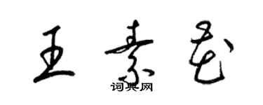 梁錦英王素花草書個性簽名怎么寫