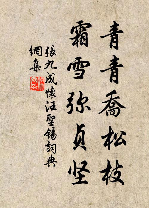 精神幸猶壯,𠞰洗捷頻聞 詩詞名句