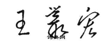 駱恆光王叢宏草書個性簽名怎么寫