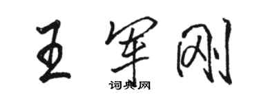 駱恆光王軍剛行書個性簽名怎么寫