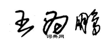 朱錫榮王為鵬草書個性簽名怎么寫