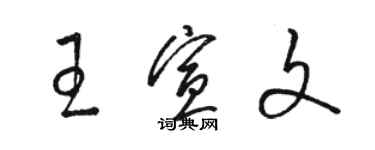 駱恆光王宣文草書個性簽名怎么寫