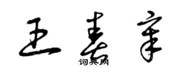 曾慶福王春章草書個性簽名怎么寫