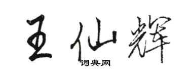 駱恆光王仙輝行書個性簽名怎么寫