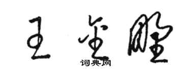 駱恆光王金野草書個性簽名怎么寫