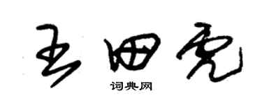 朱錫榮王田虎草書個性簽名怎么寫