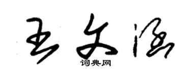 朱錫榮王文涵草書個性簽名怎么寫