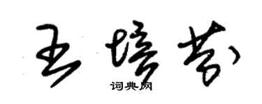 朱錫榮王培芬草書個性簽名怎么寫