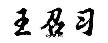 胡問遂王召習行書個性簽名怎么寫