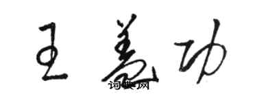 駱恆光王蓋功草書個性簽名怎么寫