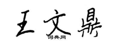 王正良王文鼎行書個性簽名怎么寫