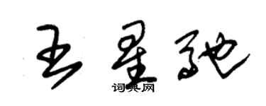 朱錫榮王星馳草書個性簽名怎么寫