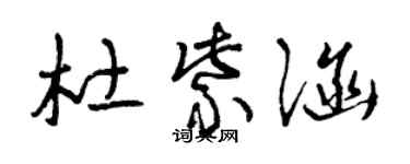 曾慶福杜紫涵草書個性簽名怎么寫