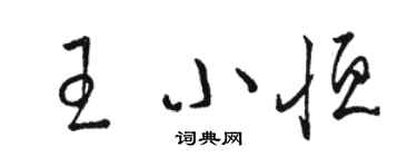 駱恆光王小恆草書個性簽名怎么寫