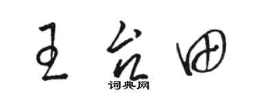 駱恆光王台田草書個性簽名怎么寫