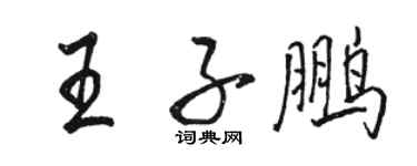 駱恆光王子鵬行書個性簽名怎么寫