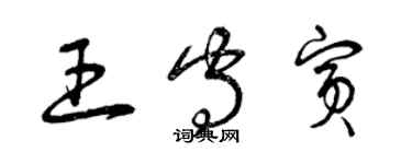 曾慶福王守賓草書個性簽名怎么寫