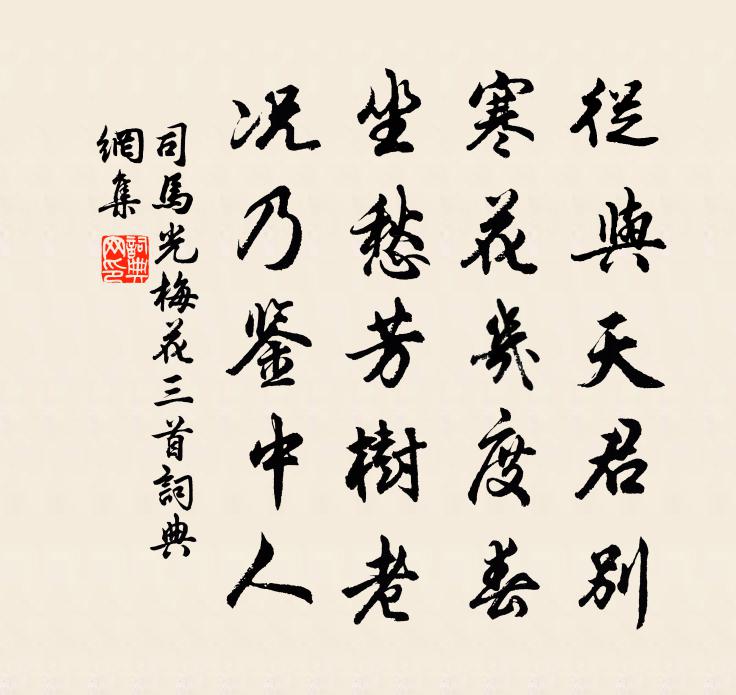 司馬光梅花三首書法作品欣賞