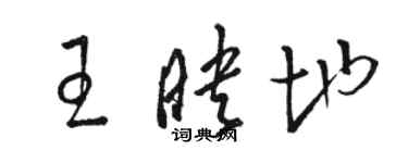 駱恆光王映地草書個性簽名怎么寫