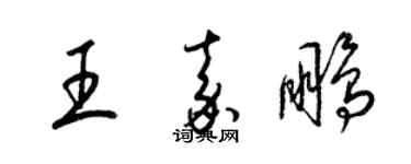 梁錦英王嘉鵬草書個性簽名怎么寫