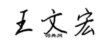 王正良王文宏行書個性簽名怎么寫