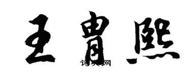 胡問遂王胄熙行書個性簽名怎么寫