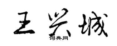 曾慶福王興城行書個性簽名怎么寫