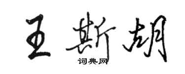 駱恆光王斯胡行書個性簽名怎么寫