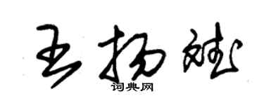 朱錫榮王揚斌草書個性簽名怎么寫