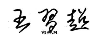 朱錫榮王習超草書個性簽名怎么寫