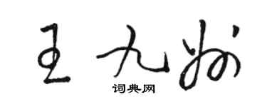 駱恆光王九州草書個性簽名怎么寫