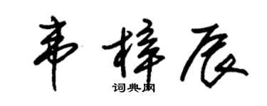 朱錫榮韋梓辰草書個性簽名怎么寫