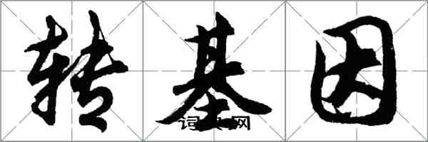 胡問遂轉基因行書怎么寫