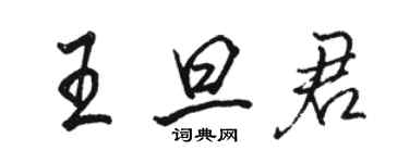 駱恆光王旦君行書個性簽名怎么寫