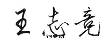 駱恆光王志競行書個性簽名怎么寫