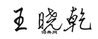 駱恆光王曉乾行書個性簽名怎么寫