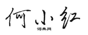 駱恆光何小紅行書個性簽名怎么寫