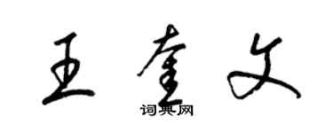 梁錦英王奎文草書個性簽名怎么寫