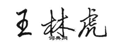 駱恆光王林虎行書個性簽名怎么寫