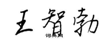 王正良王智勃行書個性簽名怎么寫