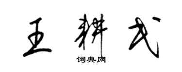 梁錦英王耕民草書個性簽名怎么寫