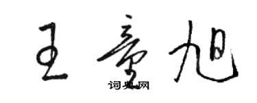 駱恆光王童旭草書個性簽名怎么寫