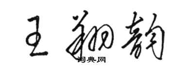 駱恆光王翔韻草書個性簽名怎么寫